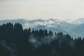 Foggy, forested mountains under a cloudy sky, with layers of tree-covered ridges fading into the distance.