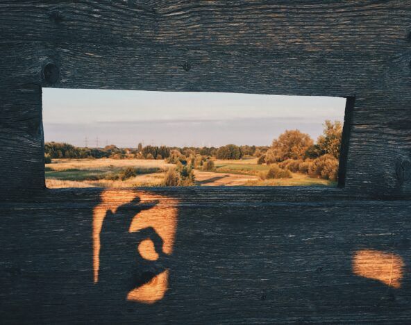 Looking through a slat at a field surrounded by trees