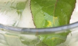 drink   mojito banner