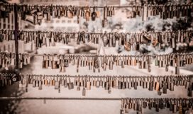 Scores of padlocks hang from 5 cables