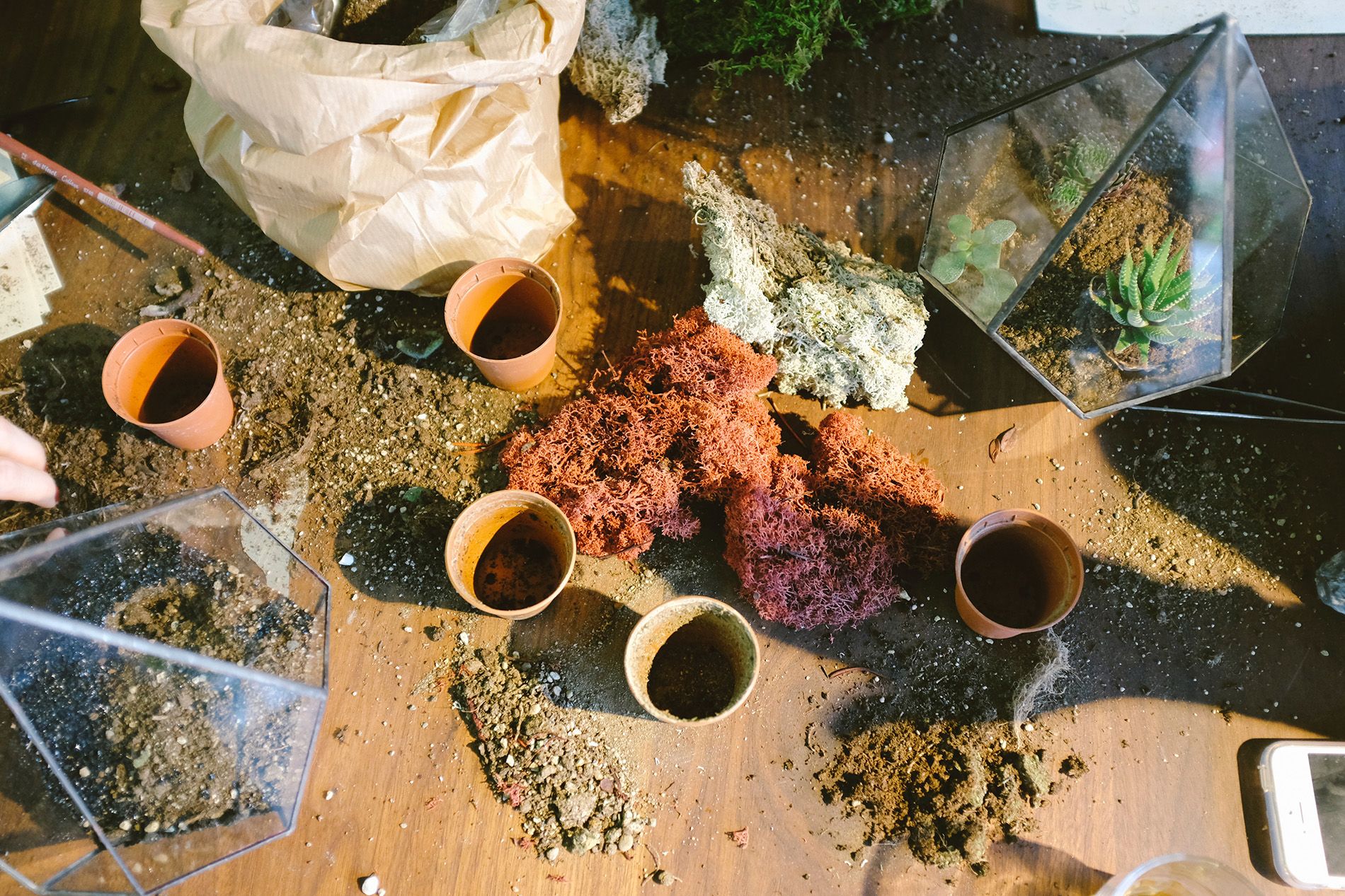 Five small terracotta pots sit on a table among potting soil moss and two triangular-prism shaped terrariums, one filled with potting soil, the other with succulents.