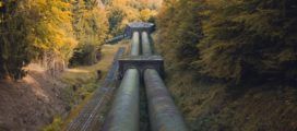 Two large pipes in the middle of a wooded area.
