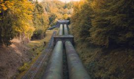 Two large pipes in the middle of a wooded area.