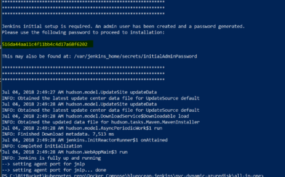 A screenshot of the Jenkins Instance Container running on Windows PowerShell.
