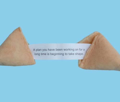 A fortune cookie with a message on it.