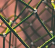 A close up of a green rope.