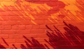 Red brick wall with shadow of plants