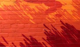 Red brick wall with shadow of plants