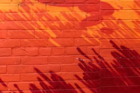 Red brick wall with shadow of plants