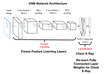 A diagram of the cnn network architecture.