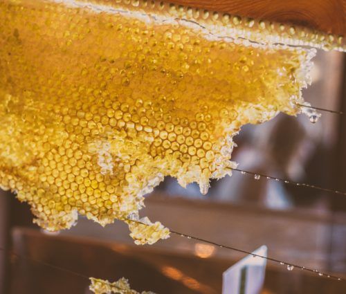 A honeycomb hanging from a window.