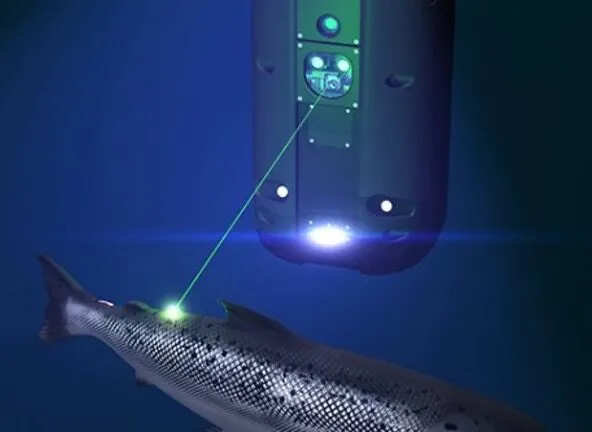 A fish enhanced with computer vision to wield a laser.
