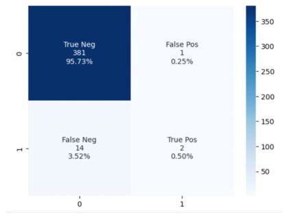 Confusion matrix showing: True Negatives (381, 95.73%), False Positives (1, 0.25%), False Negatives (14, 3.52%), True Positives (2, 0.50%).