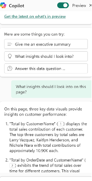 Screenshot of Copilot sidebar showing suggested insights, including total sales by customer, and total by order date and customer, with highlighted visual descriptions.