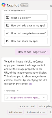 Screenshot of a Copilot interface displaying instructions on adding an image via URL in Canvas apps, with options for adding a text label, button, and image gallery.