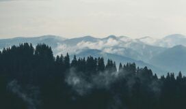 Foggy, forested mountains under a cloudy sky, with layers of tree-covered ridges fading into the distance.