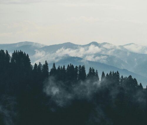 Foggy, forested mountains under a cloudy sky, with layers of tree-covered ridges fading into the distance.